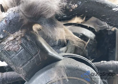 2012 Jeep Liberty Sport z USA, uszkodzony, nr VIN 1C4PJMAKXCW141954